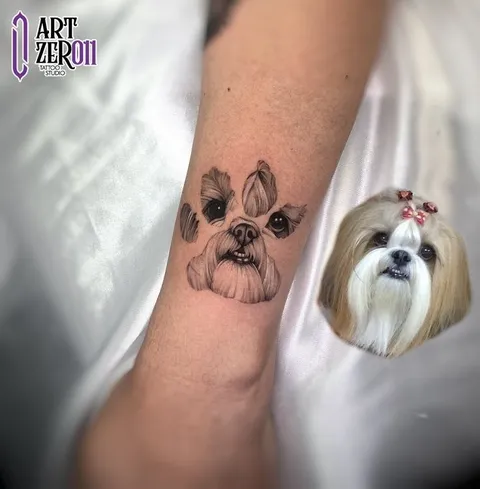 Retrato de um shih-tzu dentro do desenho de uma pata, ao lado da foto do cachorro